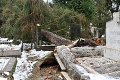 Národný cintorín v Martine zasiahla veterná smršť: Zničila desiatky hrobov!