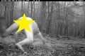 Marek behal nahý po lesoch ako tiger sibírsky? Najvtipnejší hoax dňa zaplavil internet!