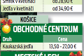 Začal sa predaj vianočných stromčekov, kúpite ich už od 5,90 eura: Veľký prehľad cien!