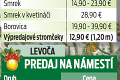 Začal sa predaj vianočných stromčekov, kúpite ich už od 5,90 eura: Veľký prehľad cien!