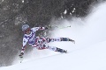 Pozor, paroháč! Rakúska lyžiarka mala na tréningu netradičného diváka