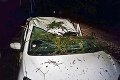 Na auto Singapurčana Justina († 21) spadol v Tatrách strom: Po smrti zachránil štyroch Slovákov!