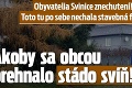 Obyvatelia Svinice znechutení! Toto tu po sebe nechala stavebná firma: Akoby sa obcou prehnalo stádo svíň!