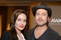 Krach manželstva Angeliny Jolie a Brada Pitta: Konečne sa dohodli!