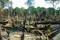 Filip zachraňuje najväčší prales na svete: Domorodcov zmenil na duchov Amazónie!