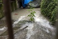 Aj našich susedov trápi voda: V Zadunajsku zaplavila sedem vedľajších ciest