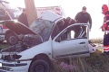 Smrteľné nehody pokračujú: Po náraze do stromu v Novohrade zahynul vodič osobného auta Ladislav († 47)!