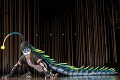 Zákulisie šou Cirque du Soleil: Kostýmy umelcom šije 300 ľudí!