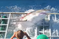 Neuveriteľné zábery! Žralok sa dostal do klietky s turistom: Pozrite si sekundy hrôzy