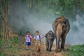 Na dvojkilometrovú cestu majú ochrancov: Do školy s knihami aj so slonmi