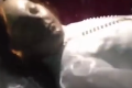 Muž natočil, ako 300-ročná mŕtvola otvorila oči: Z tohto videa behá po chrbte mráz!