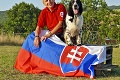 Ďalší úspech slovenskej výpravy: Dagmar so psíkom vybojovali vo svete zlato!