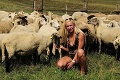 Daňoví kontrolóri u poľnohospodára v Bystrici: Nečakali, čo uvidia namiesto zvierat!