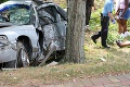 Tragická nehoda na západnom Slovensku: Jozef († 39) zomrel po náraze športového auta do stromu!