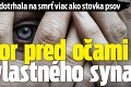 Ženu dotrhala na smrť viac ako stovka psov: Horor pred očami jej vlastného syna!