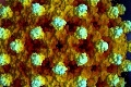 Lekári varujú pred novým vírusom: Nebezpečná žltačka!