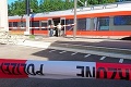 Útok vo Švajčiarsku: Muž založil vo vlaku oheň, cestujúcich zranil nožom!