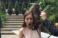 Niekto má opicu po svadbe, niekto na svadbe: Nevesta neverila svojim očiam, keď uvidela tú scénu!