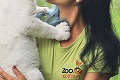 Kontaktná zoo pri Liptovskom Mikuláši sa pýši novým plyšákom: Biely levík dostal príznačné meno!