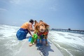 V Kalifornii sa konala súťaž štvornohých surfistov: Naša psia olympiáda!