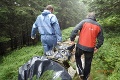 Hubári našli v lese pozostatky muža: Totožnosť a príčiny smrti vyšetruje polícia!
