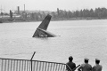 Pred 40 rokmi sa stala naša najväčšia letecká katastrofa: Alenku († 21) do lietadla smrti posadila láska!