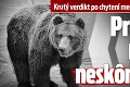 Krutý verdikt po chytení medveďa z bojnickej zoo: Prečo ho museli neskôr zabiť?