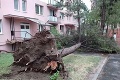 Smršť sa prehnala Slovenskom, ničila stromy, autá aj budovy: Obrazy skazy!