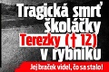 Tragická smrť školáčky Terezky († 12) v rybníku: Jej braček videl, čo sa stalo!