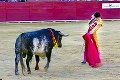 Toreadora, ktorého zabil býk v aréne, pochovali: Kondolencie poslala aj kráľovská rodina!