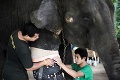 Obetavý muž sa nevzdáva: Takto zachránil už desiatky slonov!