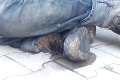 Policajtom v Plzni sa naskytol otrasný pohľad: Na ulici ležal muž, z nohy mu liezli červy!