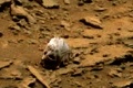 Lovci UFO objavili na Marse záhadný predmet: Je to lebka mýtického tvora?