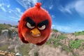 Vydarená momentka: Terence z Angry Birds naozaj existuje!