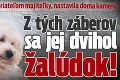 Pes sa skrýval pred priateľom majiteľky, nastavila doma kameru: Z tých záberov sa jej dvihol žalúdok!