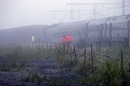 Tragická zrážka vlakov: Zomreli najmenej traja ľudia, zranených sú desiatky