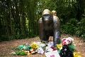 Prípad zastrelenej gorily: Vyjadrila sa matka chlapca, po ľútosti za zabitým zvieraťom ani stopy!