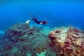Vedci bijú na poplach: Veľká koralová bariéra je v extrémnom stave!
