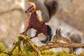 Zvieratká sa zmenili na hviezdy divokého západu: Veveričky pištoľníčky!