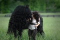 Vyrástol z neho najkrajší kôň na svete: Žrebcovi Frederikovi závidia hustú hrivu aj ženy