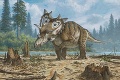 Objavili dinosaurieho Casanovu: Okatou prilbicou vábil samičky!