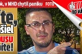 Ivan si kúpil lístok, v MHD chytil paniku: Uvidíte, s čím vošiel do autobusu a pochopíte!