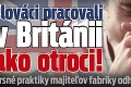 Slováci pracovali v Británii ako otroci: Drsné praktiky majiteľov fabriky odhalili na súde!