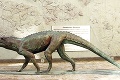 Chodec narazil na historický poklad: Toto je odtlačok predchodcu dinosaurov!