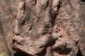 Chodec narazil na neuveriteľný objav: Môže mať až 230 miliónov rokov!