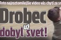 Toto najroztomilejšie video vás chytí za srdce: Drobec už dobyl svet!