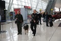 Bratislavské letisko zvýšilo bezpečnostné opatrenia: Zmena už pri vstupe do budovy