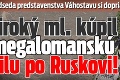 Predseda predstavenstva Váhostavu si doprial: Široký ml. kúpil megalomanskú vilu po Ruskovi!