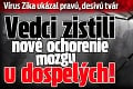 Vírus Zika ukázal pravú, desivú tvár: Vedci zistili nové ochorenie mozgu u dospelých!