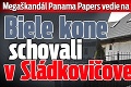 Megaškandál Panama Papers vedie na Slovensko: Biele kone schovali v Sládkovičove!